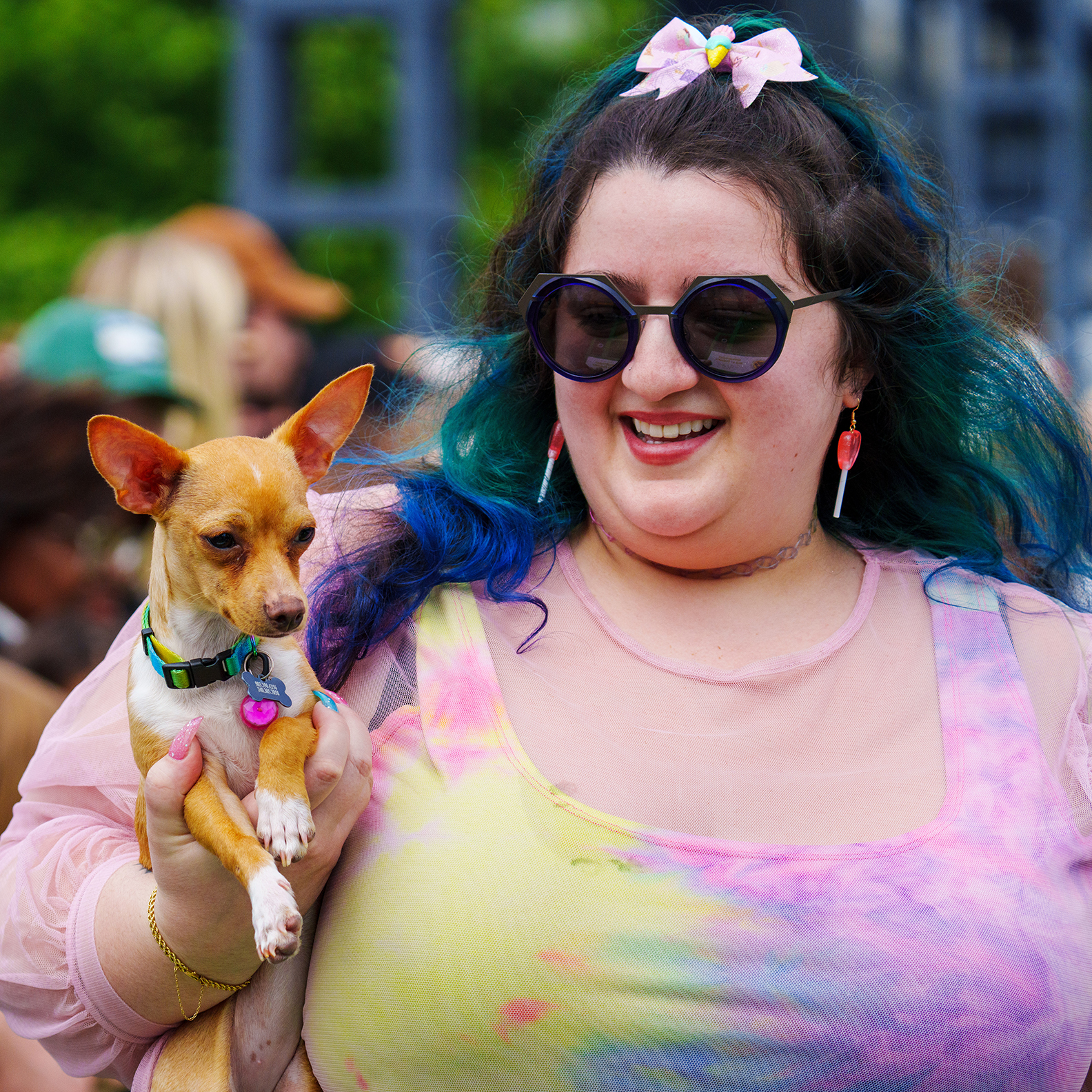 Running of the Chihuahuas